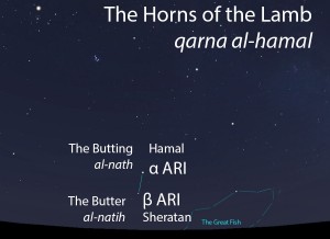 The Horns of the Lamb (qarna al-hamal) as they appear setting in the west about 45 minutes before sunrise in mid-November.