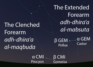 The Extended Forearm (adh-dhira' al-mabsuta) and the Clenched Forearm (adh-dhira' al-maqbuda) as they appear setting in the west about 45 minutes before sunrise in early January.