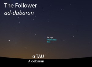 The Follower (ad-dabaran) of Thuraya as it appears rising in the east about 45 minutes before sunrise in late June.