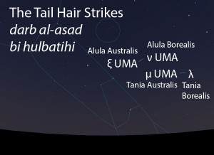 The Tail Hair Strikes (darb al-asad bi hulbatihi) as they appear in the west about 45 minutes before sunrise in early March. 
