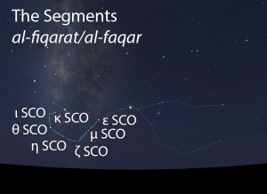The Segments (al-fiqarat) of the Scorpion (al-'aqrab) as they appear in the west about 45 minutes before sunrise in mid-May. 