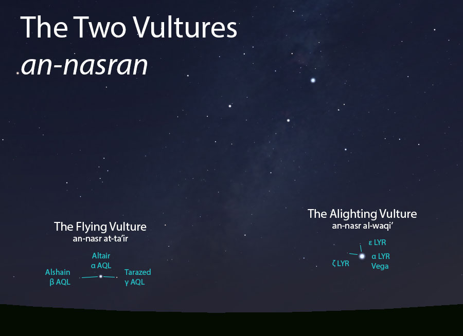 The Two Vultures (an-nasran) as they appear setting in the west about 45 minutes before sunrise in mid-August.