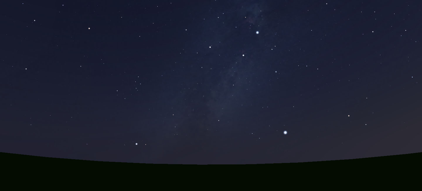 The Alighting Vulture