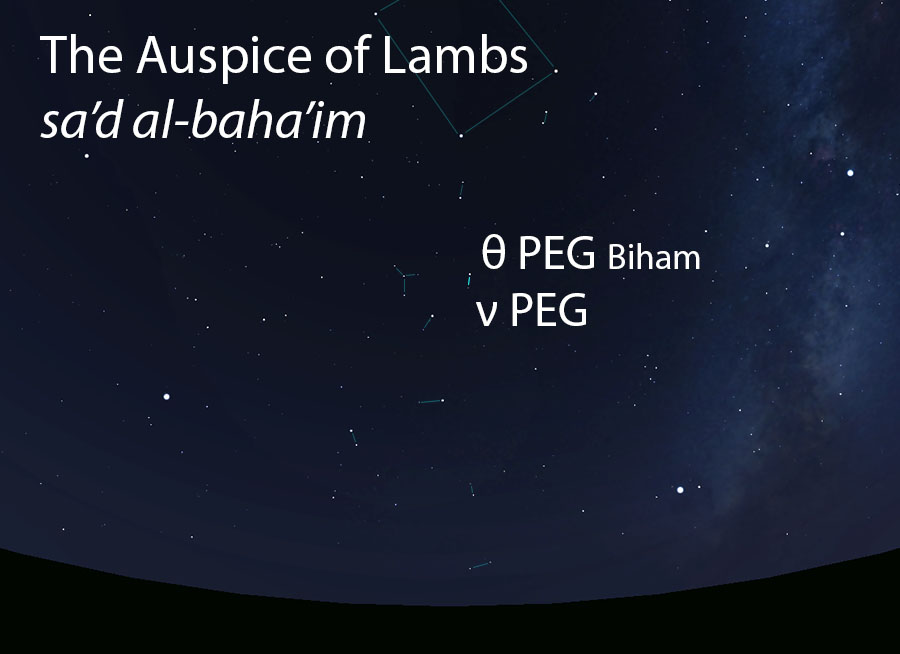 The Auspice of Lambs