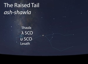 The Raised Tail (ash-shawla) of the Scorpion (al-'aqrab) as it appears in the west about 45 minutes before sunrise in mid-May. 
